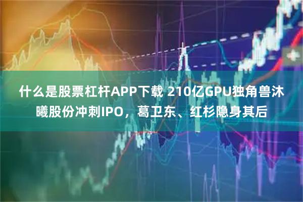 什么是股票杠杆APP下载 210亿GPU独角兽沐曦股份冲刺IPO，葛卫东、红杉隐身其后