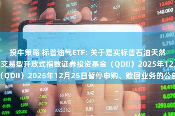 投牛策略 标普油气ETF: 关于嘉实标普石油天然气勘探及生产精选行业交易型开放式指数证券投资基金（QDII）2025年12月25日暂停申购、赎回业务的公告