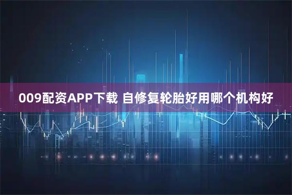 009配资APP下载 自修复轮胎好用哪个机构好