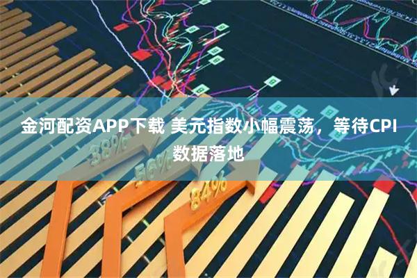 金河配资APP下载 美元指数小幅震荡，等待CPI数据落地