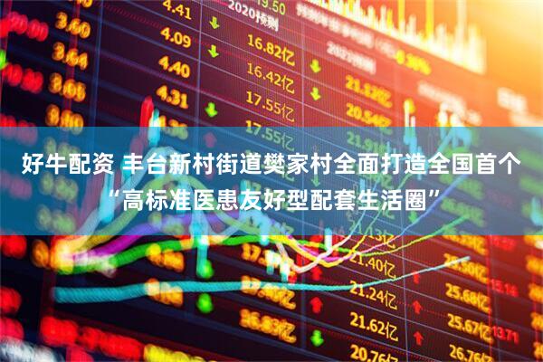 好牛配资 丰台新村街道樊家村全面打造全国首个“高标准医患友好型配套生活圈”
